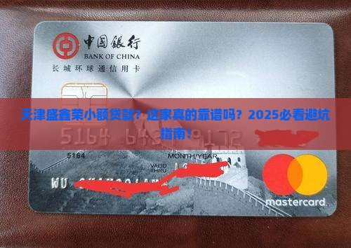 天津盛鑫荣小额贷款