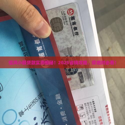 信鸿小额贷款