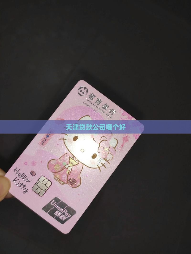 天津小额贷款哪个好