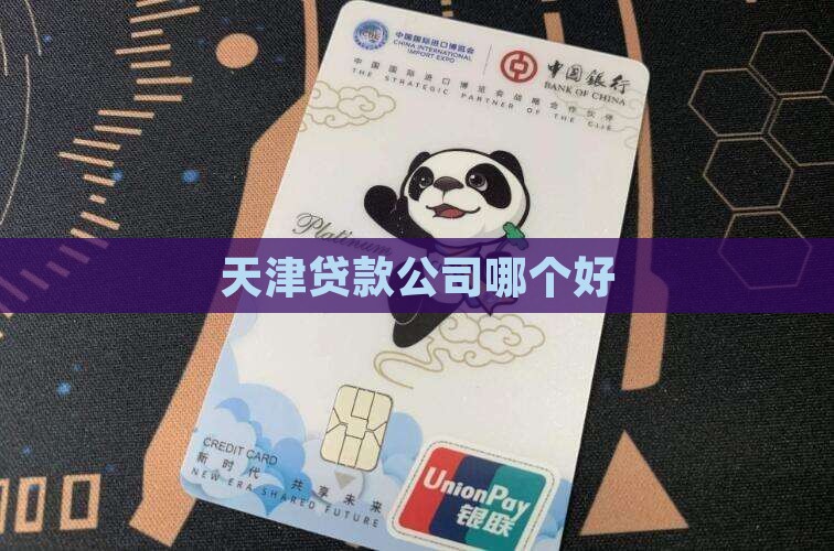 天津小额贷款哪个好
