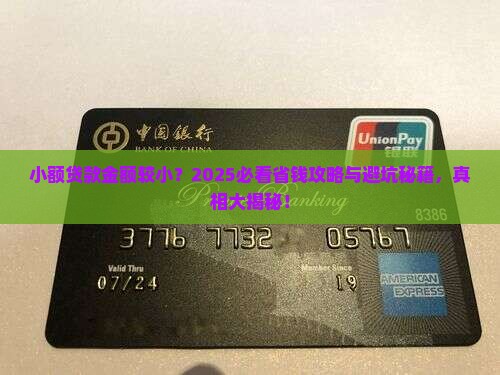 小额贷款金额较小