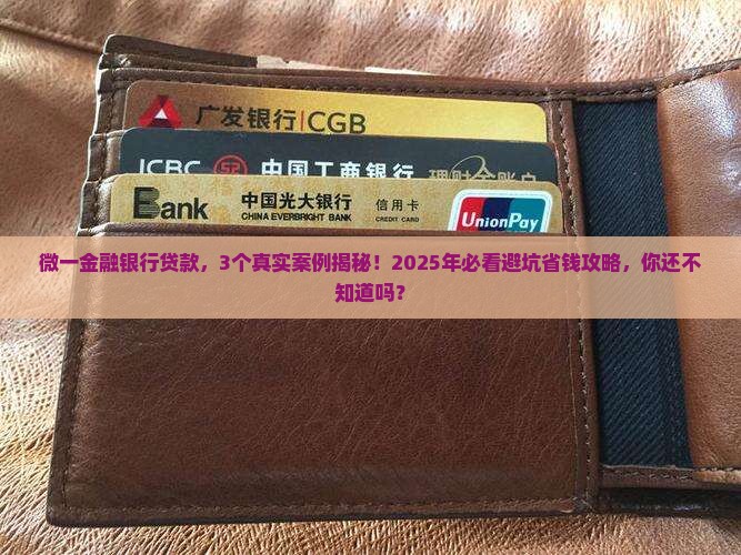 微一金融银行贷款