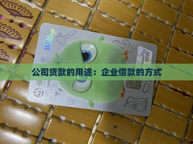 开公司贷款的用途