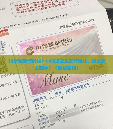 小额贷款低龄化趋势