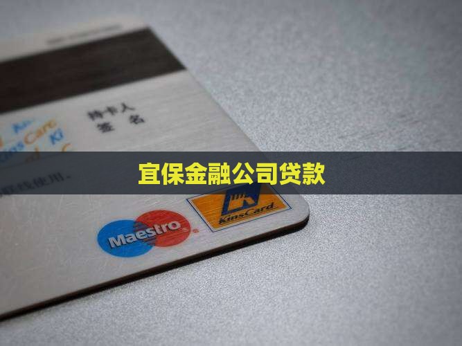 宜保公司贷款