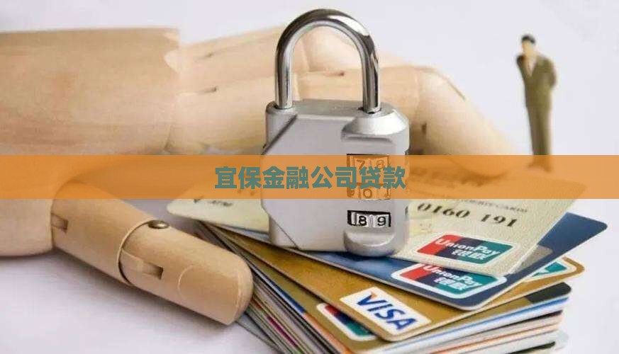 宜保公司贷款