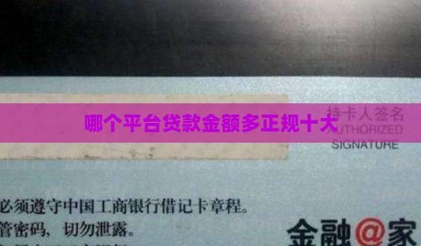 哪个平台贷款金额多正规