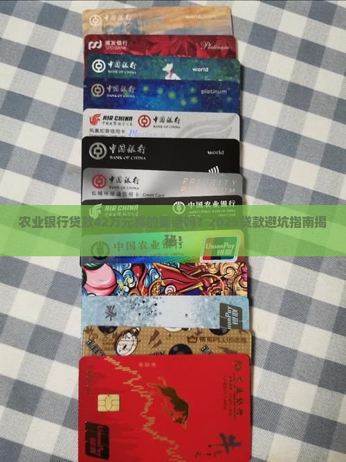农业银行贷款42万元
