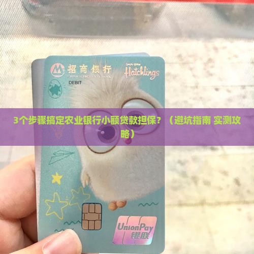 农业银行小额贷款担保