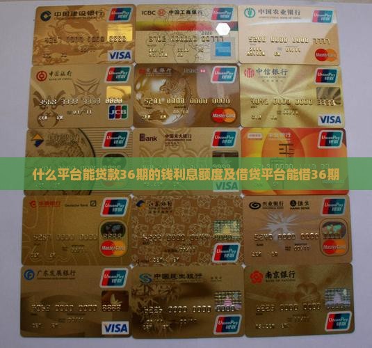 什么平台能贷款36期的