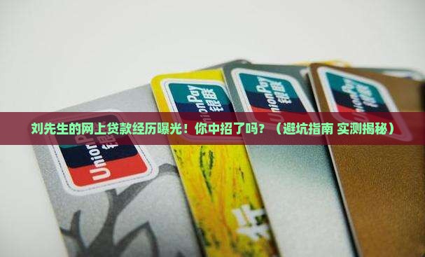 刘先生网上贷款