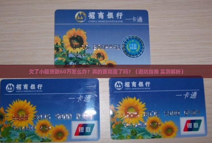 欠小额贷款60万有事吗