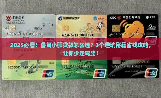 2019鲁甸小额贷款