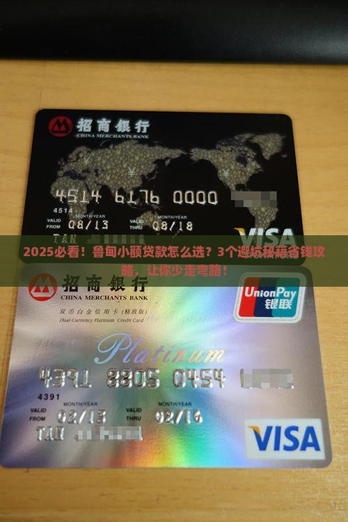 2019鲁甸小额贷款