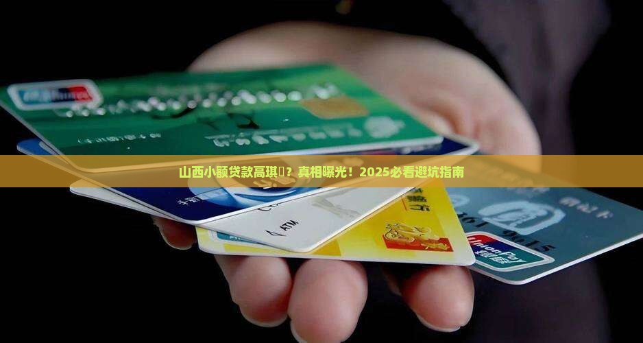 山西小额贷款高琪燚