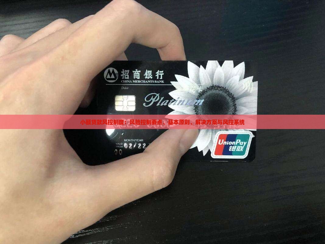 小额贷款风控制度