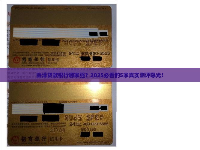 会泽贷款银行有几家公司
