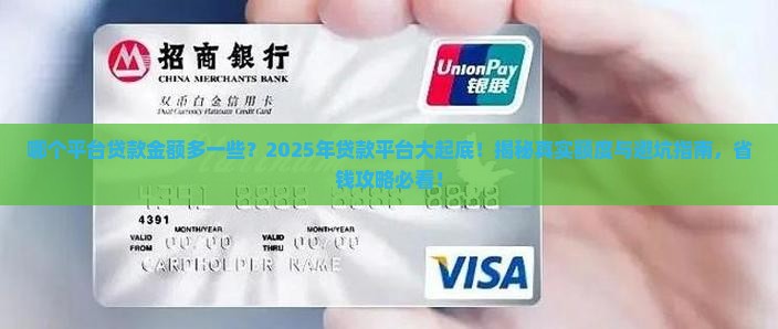 哪个平台贷款金额多一些