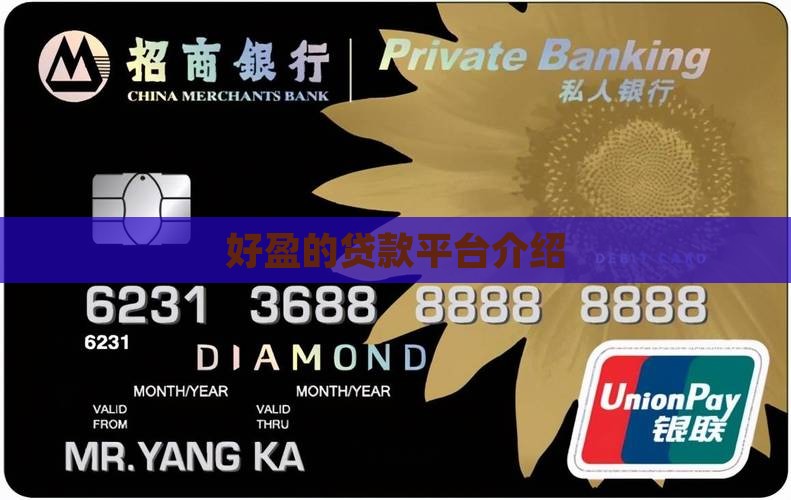 好盈的贷款平台是什么
