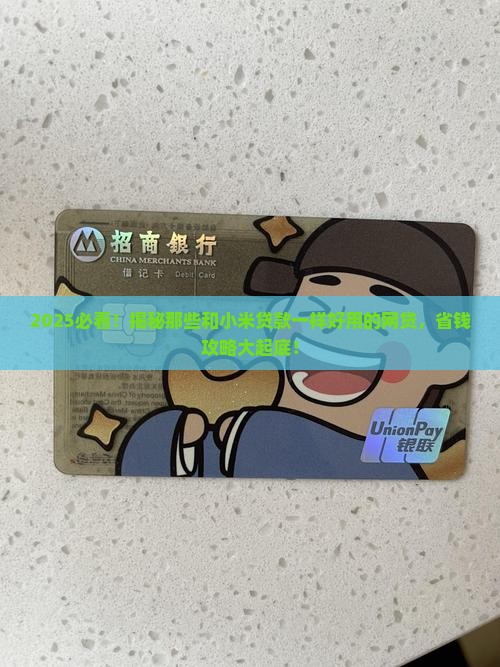 什么网贷和小米贷款一样