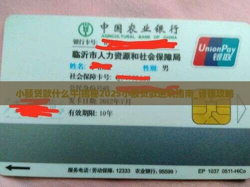 小额贷款什么牛
