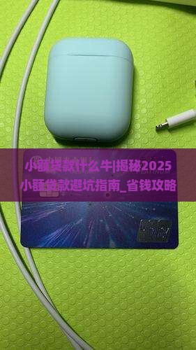 小额贷款什么牛