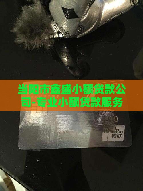 当阳市鑫盛小额贷款