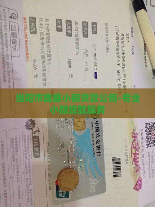 当阳市鑫盛小额贷款