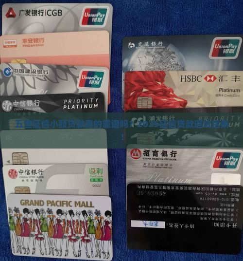 五查征信小额贷款