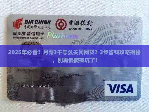 什么时候关闭网络贷款