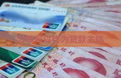 公司可以作为贷款主体