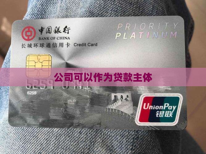 公司可以作为贷款主体