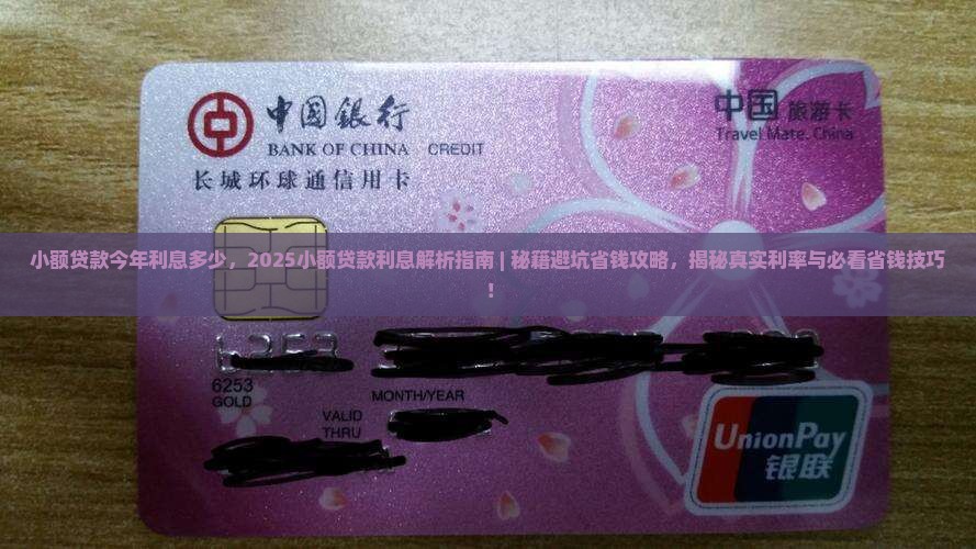 小额贷款今年利息多少