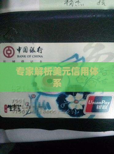专家谈美元信用贷款