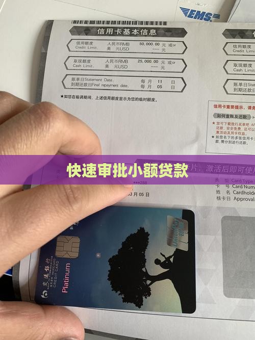 快速审批小额贷款
