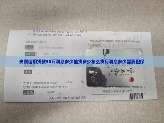 夫妻信用贷款30万