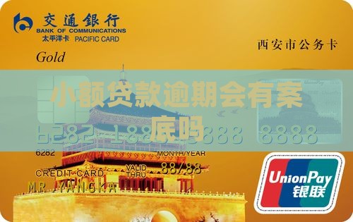 小额贷款逾期会有案底吗