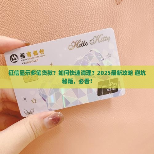 征信显示多笔贷款