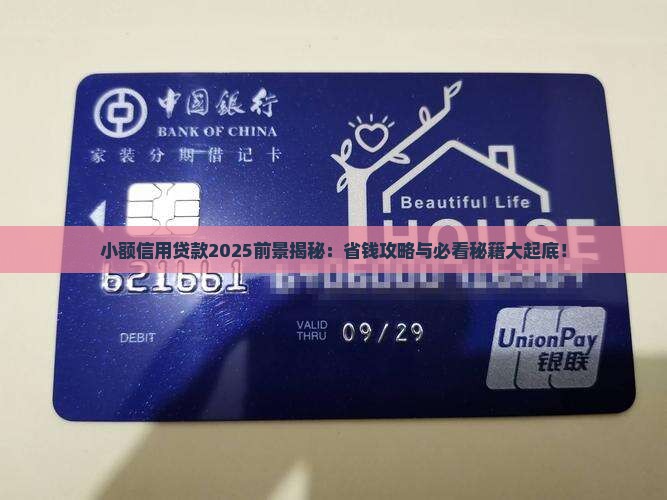 小额信用贷款前景