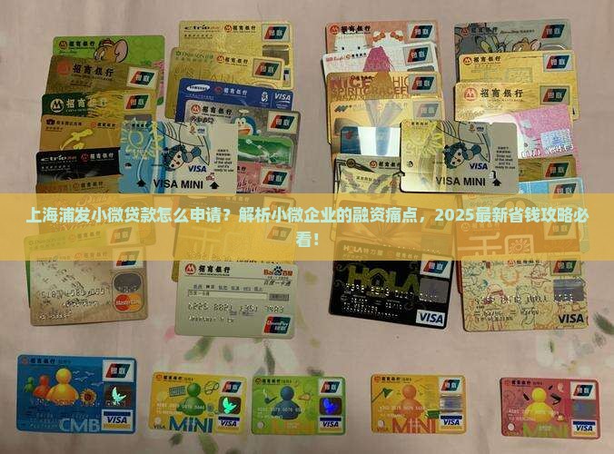 上海浦发小微贷款