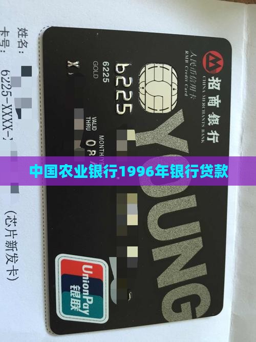 1996年农业银行贷款