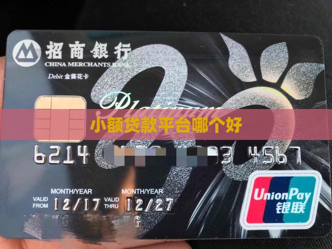 小微贷款平台软件哪个好