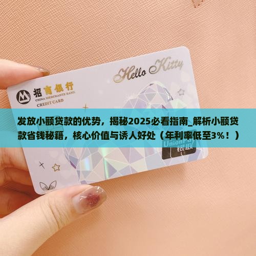 发放小额贷款的优势