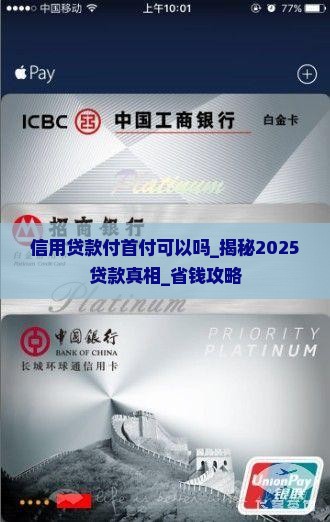 信用贷款付首付可以吗