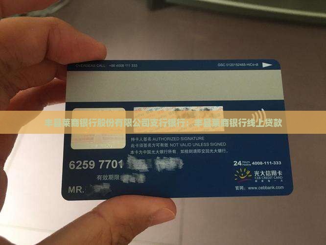 丰县莱商银行线上贷款