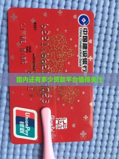 国内还有多少贷款平台