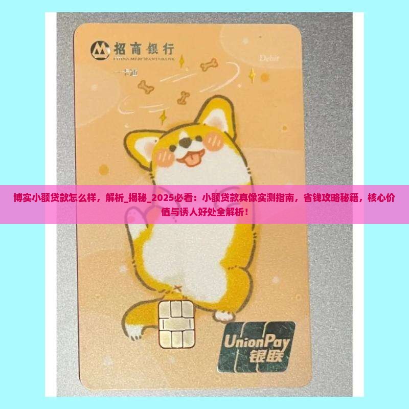 博实小额贷款怎么样