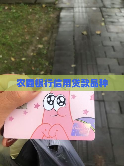 农商行信用贷款品种