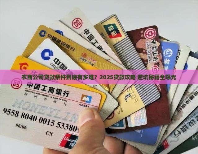 农商公司贷款条件