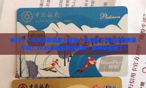 央行个人消费贷款额度
